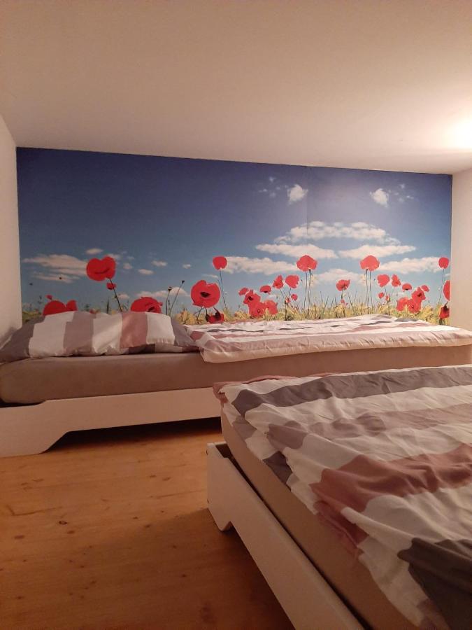 Oberglatt 机场旅馆旅舍 外观 照片